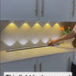 Orion LED Motion Sensor Light (aka the most practical light ever!)